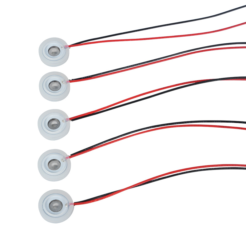 10 mm mikro-mali piezoelektrični mikro-mrežasti raspršivač Komad sredstva za pranje nosa Vlažni sprej za instrumente za oči Eterično ulje za aromaterapiju Mali dezinfekcijski ovlaživači nebulizator mikro-oblika Specijalni, snaga malih mikromrežastih rupica za raspršivanje Komad otvora blende Podesiva brzina nebulizacije Podesiva čestice Podesiva