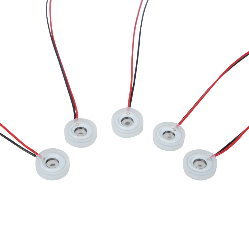 10 mm mikro-mali piezoelektrični mikro-mrežasti raspršivač Komad sredstva za pranje nosa Vlažni sprej za instrumente za oči Eterično ulje za aromaterapiju Mali dezinfekcijski ovlaživači nebulizator mikro-oblika Specijalni, snaga malih mikromrežastih rupica za raspršivanje Komad otvora blende Podesiva brzina nebulizacije Podesiva čestice Podesiva