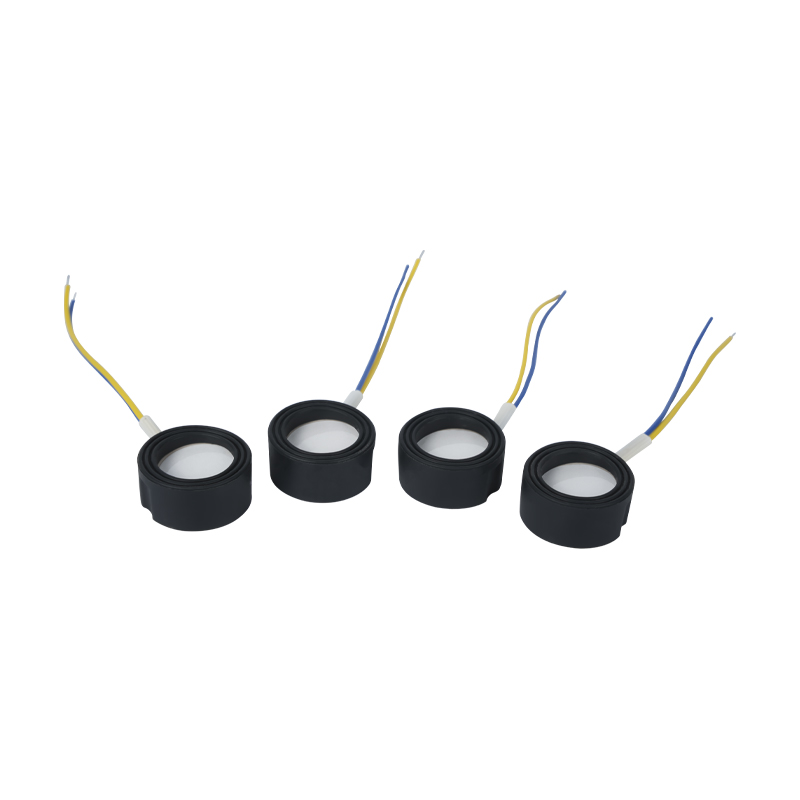 25mm1.7mhz Ultrazvučna visokofrekventna atomizacija Footbath Wigwam Cloud Mist Uređenje okoliša Velika količina atomizacije Piezoelektrični keramički pretvornik Oscilirajući atomizer velike snage 220v36w